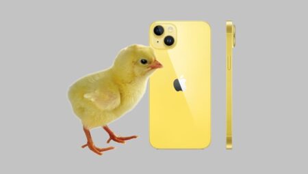 Civciv sarısı iPhone 14 ve iPhone 14 Plus resmen çıktı