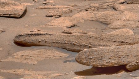 NASA, Mars’taki iskelet benzeri cismin gizemini çözdü!